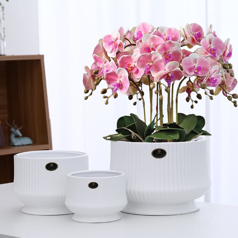 Baichen keramički lonac za Phalaenopsis s tacom, skandinavski stil, stolna upotreba, kućna dekoracija
