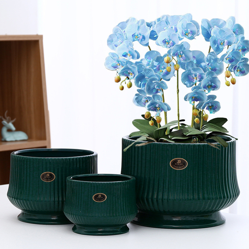 Baichen keramički lonac za Phalaenopsis s tacom, skandinavski stil, stolna upotreba, kućna dekoracija