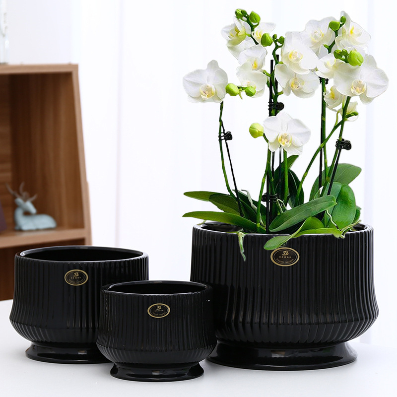 Baichen keramički lonac za Phalaenopsis s tacom, skandinavski stil, stolna upotreba, kućna dekoracija