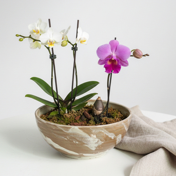 Keramički lonac za hidroponiku, stolna upotreba, mramorni uzorak, izdržljiv