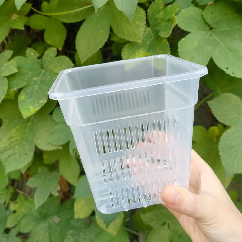Kvadratna posuda za orhideje od guste prozračne plastike, ojačana konstrukcija, kontrola korijena, posuda za presađivanje Phalaenopsis i hidroponska košara