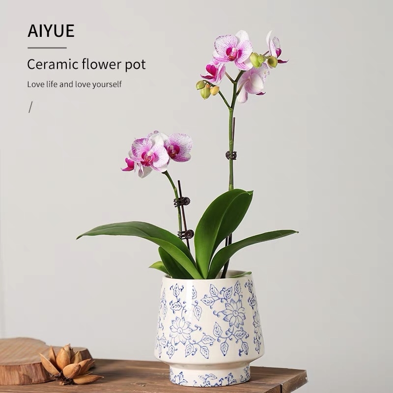 Keramički lonac za cvijeće za stolnu upotrebu, pogodan za orhideje