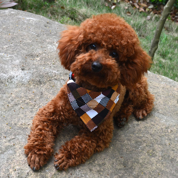 Aksesoari za kućne ljubimce: trokutasti bib za pse i mačke, tkanina, twill tkanina, šivanje, za sva godišnja doba