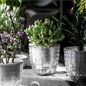 Plastični lonac za cvijeće za stol ili pod, jednopločno oblikovan, proziran, otporan na koroziju, štednja vode