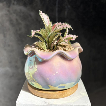 Keramička posuda za sukulente s elektroplatiranim završetkom, pogodna za stolnu i podnu uporabu; materijal keramika; izrada: pečenje u pećnici i elektroplating; pogodno za ured i kućnu vrtlarenje.