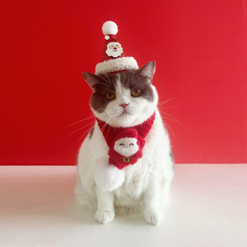 Κοστούμι Χριστουγέννων για κατοικίδια: φουλάρι και καπέλο για μικρά σκυλιά και γάτες – καρτούν μοτίβο, πολυεστέρας, ύφανση μηχανή, επεξεργασία χειροποίητη, άνοιξη και φθινόπωρο