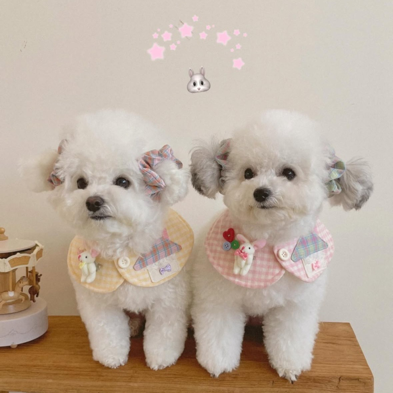 Κασκόλ για κατοικίδια με μοτίβο καρό σε πλέγμα, βαμβακετός twill, εκτύπωση, για γάτες και σκύλους