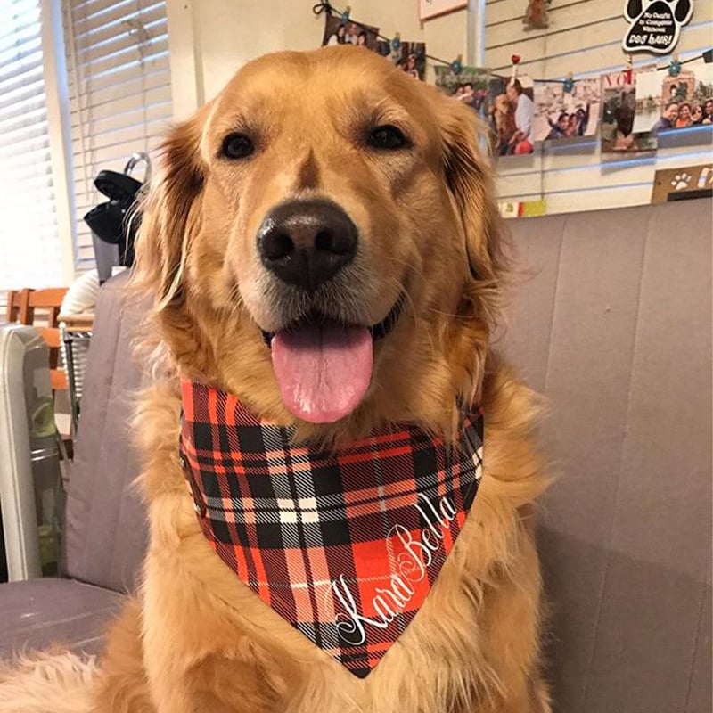 Boyue drool bib από βαμβακερό ύφασμα για σκύλους και γάτες, check μοτίβο, καθολική χρήση, μηχανικά υφαντό απλό ύφανση, jacquard επεξεργασία