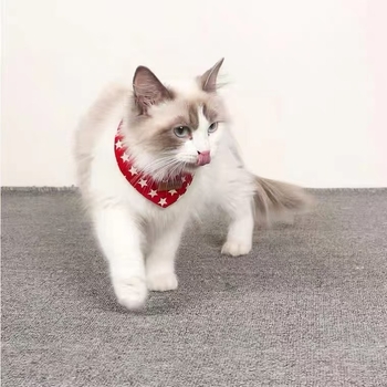 Τριγωνικό φουλάρι για κατοικίδια, σχέδιο πέντε ακμών αστέρι, πολυεστέρας, twill ύφανση, στυλ καουμπόι