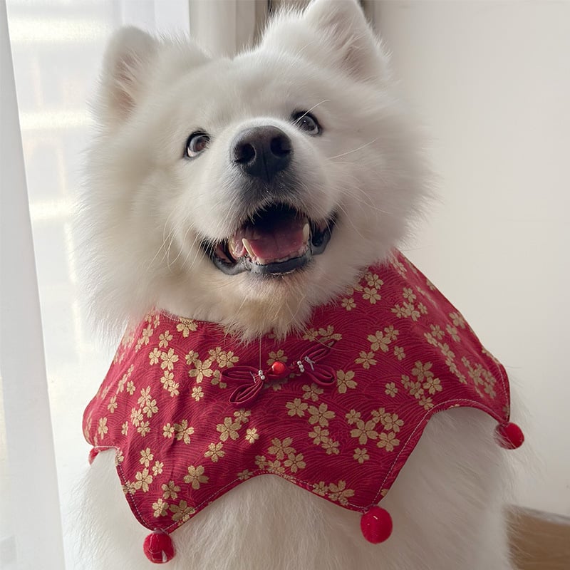 Μπαντάνα για σκύλους — πολυεστέρας, τεσσάρων εποχών, casual στυλ