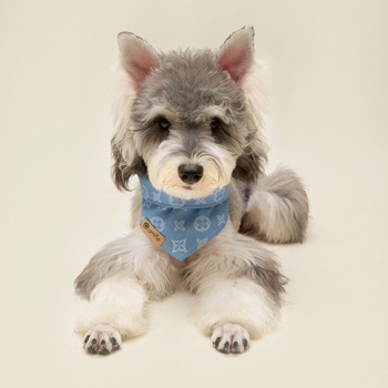 Τριγωνικό φουλάρι για σκύλους από ντέμιμ — πετσέτα για το σάλιο, τεσσάρων εποχών, χαλαρό στυλ