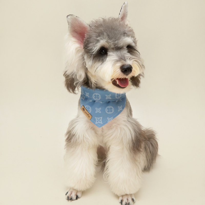 Τριγωνικό φουλάρι για σκύλους από ντέμιμ — πετσέτα για το σάλιο, τεσσάρων εποχών, χαλαρό στυλ