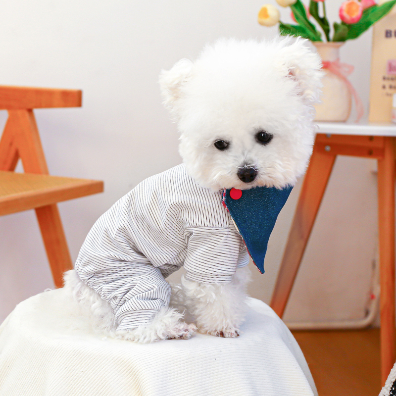 PETCIRCLE Bib για κατοικίδια — Πολυεστέρας, Γενική χρήση, Όλες οι εποχές, Leisure στυλ