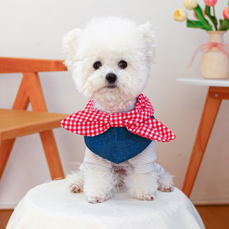 PETCIRCLE Bib για κατοικίδια — Πολυεστέρας, Γενική χρήση, Όλες οι εποχές, Leisure στυλ