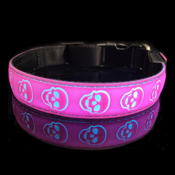 Κολάρο σκύλου με σχέδιο κρανίου, φωτεινό, επαναφορτιζόμενο, υλικό: μαλακό κόλλα + νάιλον