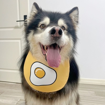 Kutyaszájkendő közepes és nagyméretű kutyáknak — nyári nedvességálló sál Golden Retriever és Szamoyed fajtákhoz