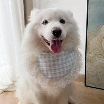 2025-ös új fotózásra szánt kutya kiegészítő: sál-bib kis-, közepes és nagytestű fajtákhoz — Samoyed, Golden Retriever, Alaskan Malamute