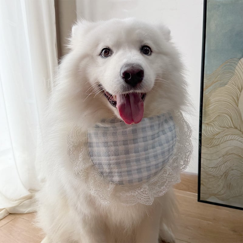 2025-ös új fotózásra szánt kutya kiegészítő: sál-bib kis-, közepes és nagytestű fajtákhoz — Samoyed, Golden Retriever, Alaskan Malamute