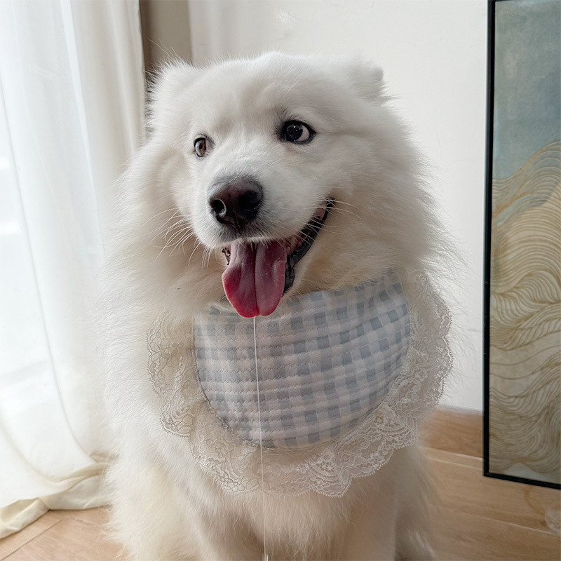 2025-ös új fotózásra szánt kutya kiegészítő: sál-bib kis-, közepes és nagytestű fajtákhoz — Samoyed, Golden Retriever, Alaskan Malamute