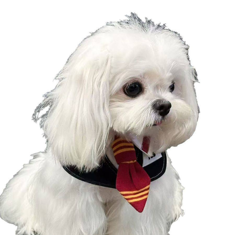 Gryffindor-stílusú háziállatnyálvédő kötény macskáknak és kutyáknak