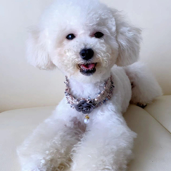 Chanel-stílusú, állítható, kézzel szőtt kisállatnyakörv, camellia virággal, haranggal és gyöngyös díszítéssel