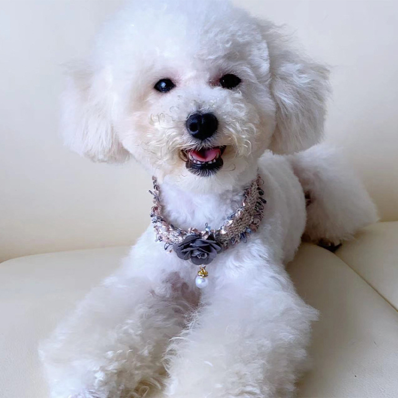 Chanel-stílusú, állítható, kézzel szőtt kisállatnyakörv, camellia virággal, haranggal és gyöngyös díszítéssel