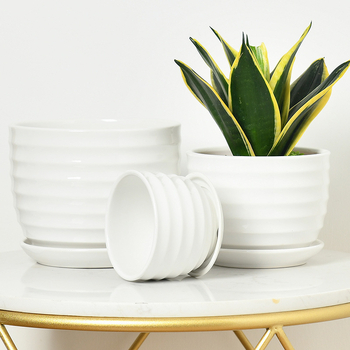 Keramički set posuda za cvijeće, 3 komada, glaziran, minimalistički stil, za stol ili pod, za unutarnje Phalaenopsis orhideje