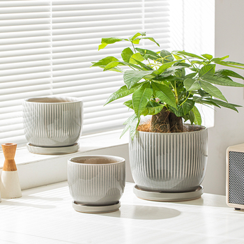 Keramički set posuda za cvijeće, 3 komada, glaziran, minimalistički stil, za stol ili pod, za unutarnje Phalaenopsis orhideje