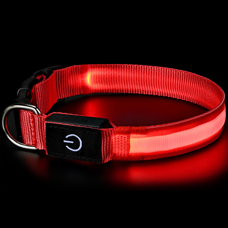 Colier pentru câine, încărcare USB, iluminat, din nylon, versiune cu luminozitate înaltă