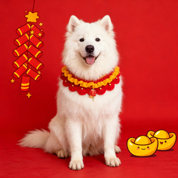 Vuneni šal s uzorkom usklađivanja boja, ručno kukano i izvezeno, zimski komad