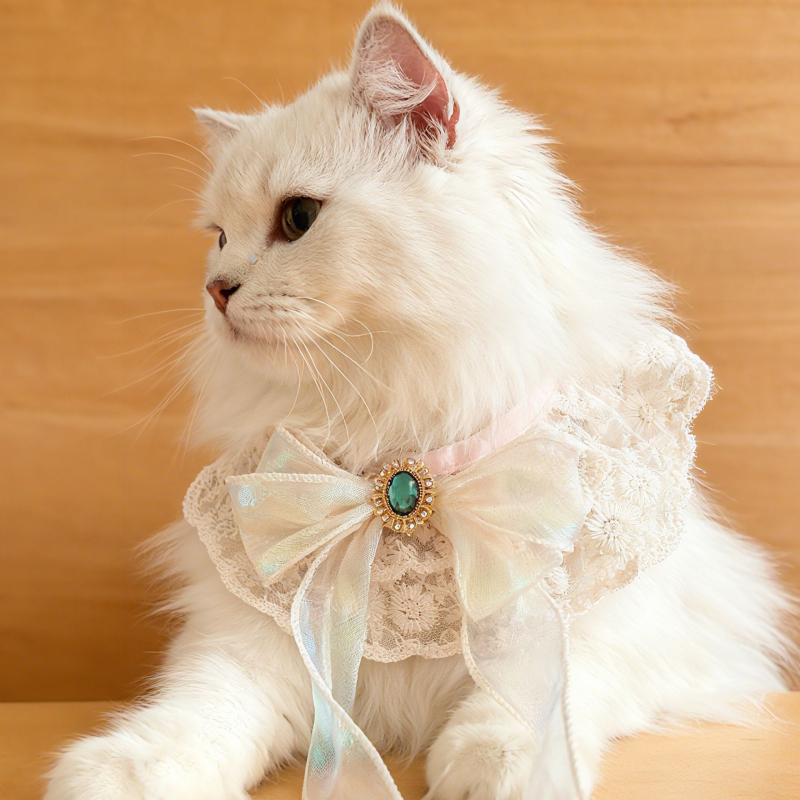 Pet Bib – Hercegnő-stílus, Monokróm mintázat, Kézzel készült, Univerzális használat, Négy évszak