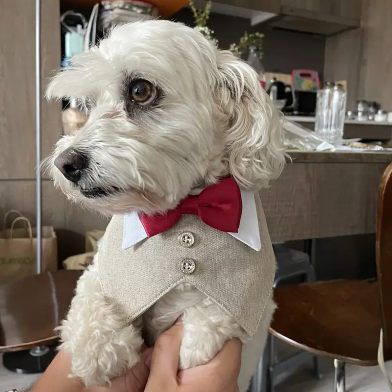 WPET Monokróm lenből készült kutyás csokornyakkendő és elegáns sál – közepes és nagy testű kutyákhoz