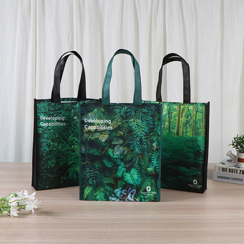 Bangtai Universal Tote Bag με Διπλό Στρώμα 40–100 silk, Ματ Εξωτερικό, Ρυθμιζόμενη Λαβή