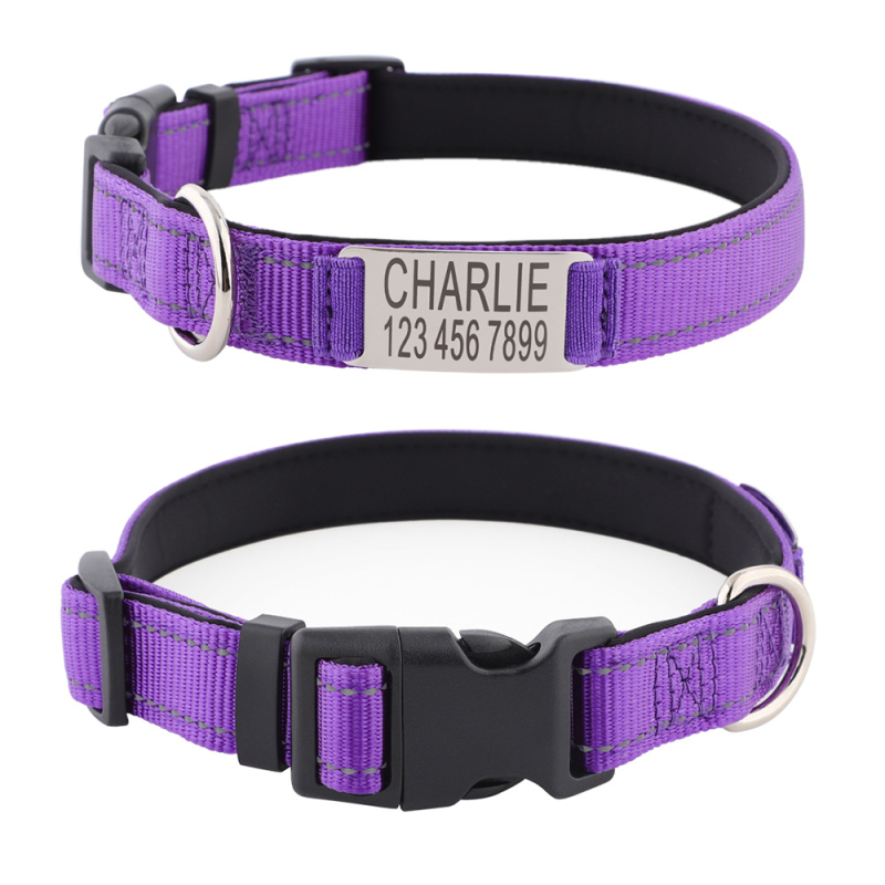 Personalizirana najlonska ogrlica za psa i vodilica – prilagodljiv dizajn, Instagram stil, za pse