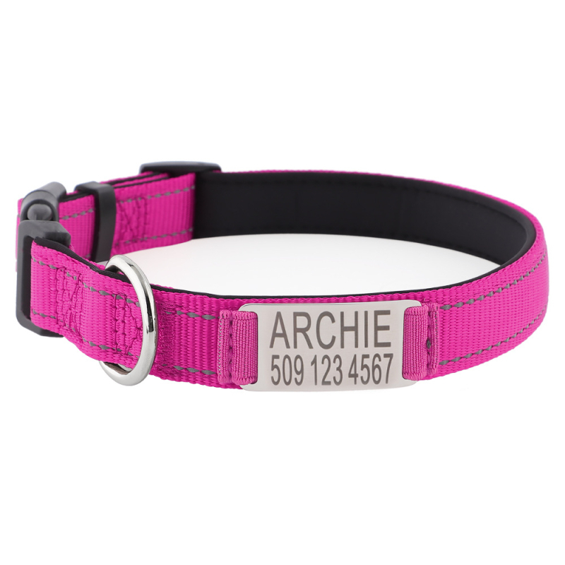 Personalizirana najlonska ogrlica za psa i vodilica – prilagodljiv dizajn, Instagram stil, za pse