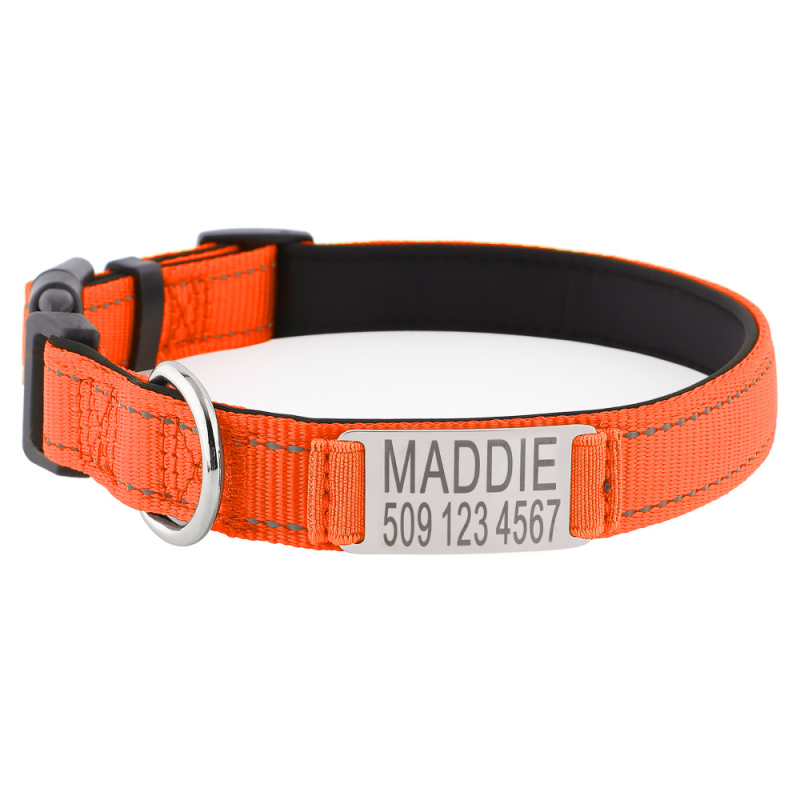 Personalizirana najlonska ogrlica za psa i vodilica – prilagodljiv dizajn, Instagram stil, za pse