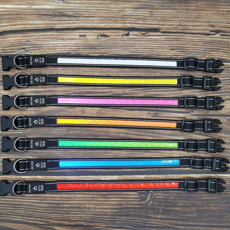 LED svijetliva ogrlica za psa – najlon/EVA, monokromatski uzorak, ležerni stil, pogodan za sve sezone