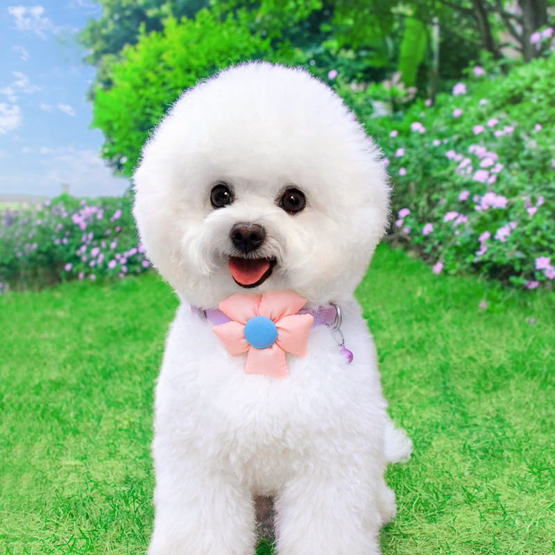 Zichen set za pse: ogrlica i povodac od poliester-pamuka, casual stil, za sve sezone