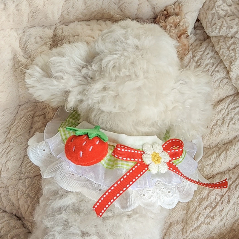 Állat szájkendő - Cartoon rácsmintás, poliészter, hímzett nyakkendő kutyáknak és macskáknak