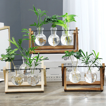 Desktop hidroponski stakleni vazo u drvenom okviru za uzgoj pothosa – uredska dekoracija