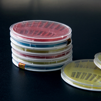 Smart Art Workshop DIY 20-dijelni set alata za broderiju i šivanje u plastičnoj kutiji