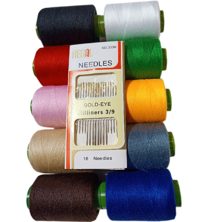 Autonomy Set igala i konca – Šiva kutija za kućnu upotrebu, 100 komada