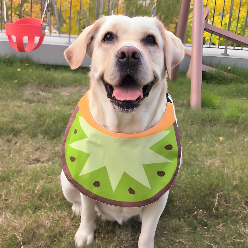 Vízálló kutya bib — Red Brocade, Poliészter, Univerzális illesztés, Négy évszak