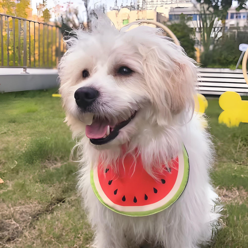 Vízálló kutya bib — Red Brocade, Poliészter, Univerzális illesztés, Négy évszak