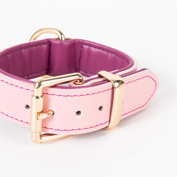 Δερμάτινο κολάρο σκύλου με μοτίβο color-block, μεταλλική αγκράφα, ρυθμιζόμενο, κατάλληλο για όλους τους σκύλους, στυλ ιαπωνικό/κορεάτικο