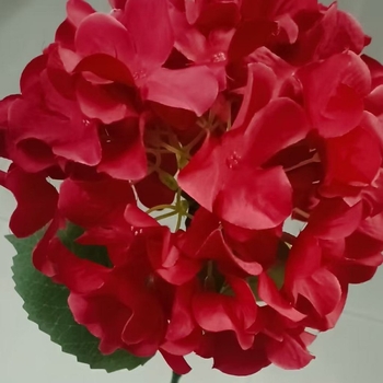 Solarna simulacija Hydrangea Flower Light – aluminij, IP65, 3W, radno vrijeme 6–12 sati