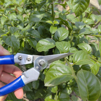 Kerti metszőolló – csúszásmentes markolattal, erőkímélő