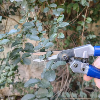 Kerti metszőolló – csúszásmentes markolattal, erőkímélő