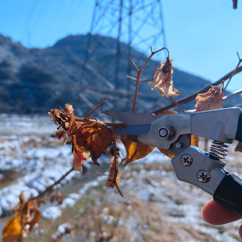 Kerti metszőolló – csúszásmentes markolattal, erőkímélő