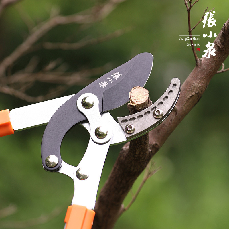 Zhang Xiaoquan teleszkópos metszőolló gyümölcsfákhoz – nehéz terhelésre, erő- és munkaerő-megtakarítás, kerti eszköz